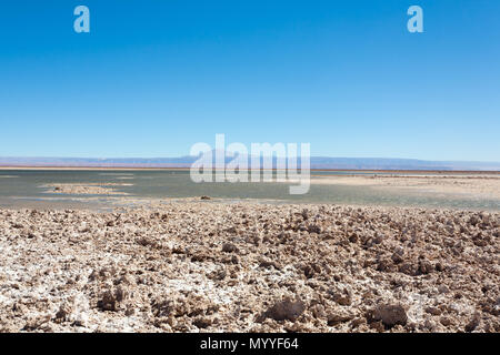 Flamingo Naturpark, Chile. San Pedro de Atacama, Los Flamencos National Reserve Stockfoto