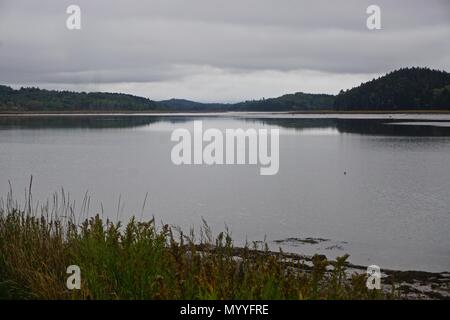 Machais, Maine, USA: Blick auf den Fluss Machais an einem bewölkten Herbst Tag. Stockfoto