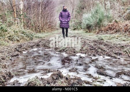 UK-Wetter: Frozen Dunsford Wald in Devon Stockfoto