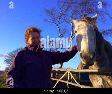 Pferd und Besitzer am Feld Tor genießen die Frühlingssonne nach zwei Tagen des winterlichen Wetters in Yorkshire Stockfoto