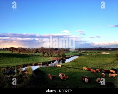 Co. Meath, Irland. 26. April 2015. Irland Wetter. Schönen sonnigen Abend in der Nähe von Kells, Grafschaft Meath Credit: Richard Wayman/StockimoNews/Alamy Live News Stockfoto