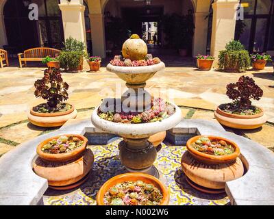 Santa Barbara, CA USA 18. Mai 2015 erklärt Santa Barbara Stadtrat einen Stufe Dürre Zustand Alarm. Wasserspiele sind deaktiviert. Bildnachweis: Lisa Werner/StockimoNews/Alamy Stockfoto