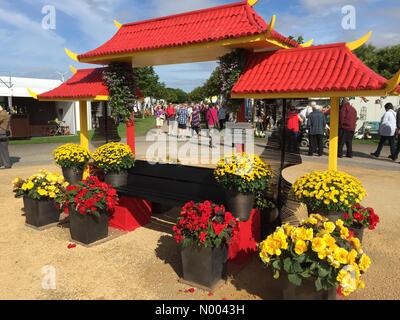 Merseyside, UK. 20. August 2015. Southport Flower Show 20. August 2015 Credit: Cernan Elias / StockimoNews/Alamy Live News Stockfoto