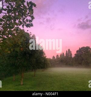 London, UK. 28. Sep, 2015. Nachwirkungen der Mondfinsternis / Super Red Moon. Eine schöne rosa Himmel und Nebel im Alexandra Park, North London Credit: Neil Juggins / StockimoNews/Alamy Live News Stockfoto