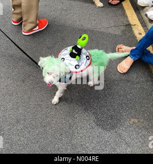 Palm Desert, Kalifornien USA 25. Oktober 2015 der 51. ordentlichen Palm Desert Golf Cart Parade. Das diesjährige Thema ist Area 51: Palm Desert ist nicht von dieser Welt.  Bildnachweis: Lisa Werner/Stockimo News/Alamy Stockfoto