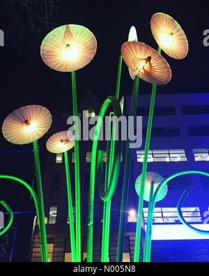 London, UK. 14. Januar 2016. Garten des Lichts durch Neigung für die Lumiere London-Ausstellung. Bildnachweis: Jessica Gwynne/StockimoNews/Alamy Live-Nachrichten Stockfoto