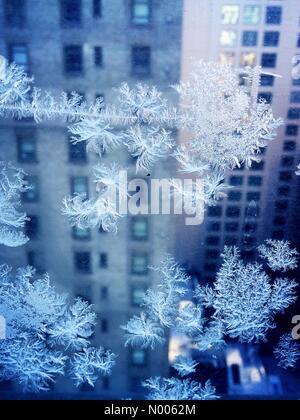 Eis auf der Fensterscheibe im kalten New York City Stockfoto