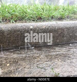 Cheltenham Rd NW, Calgary, Alberta, Kanada. 6. August 2016. Calgary, Kanada. 6. August 2016. Eine Regenrinne beginnt sich zu füllen als Regen wieder in der Stadt beginnt. Schwere Regenfälle prognostiziert für Alberta trotz Rekord-Niederschläge im Juli weiter. Bildnachweis: Gudrun Schulze Ebbinghoff/StockimoNews/Alamy Live-Nachrichten Stockfoto