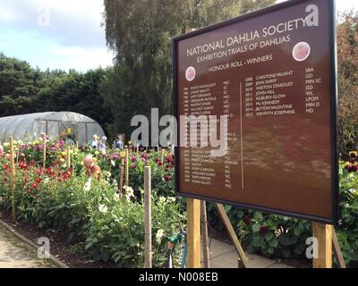 UK Wetter sonniger Tag in Leeds - ein sonniger Tag am Golden Acre Park in Leeds aus der jährlichen Dahlien Display glänzend aussehen und war ein Gesprächsthema für alle Besucher. Aufgenommen am 30. August 2016. Stockfoto