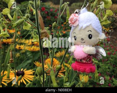 UK Wetter sonniger Tag in Leeds - ein sonniger Tag am Golden Acre Park in Leeds, West Yorkshire hatte eine Fee, einen Auftritt in den Blumengärten machen. Aufgenommen am 30. August 2016. Stockfoto