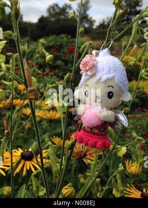 UK Wetter sonniger Tag in Leeds - ein sonniger Tag am Golden Acre Park in Leeds, West Yorkshire hatte eine Fee, einen Auftritt in den Blumengärten machen. Aufgenommen am 30. August 2016. Stockfoto