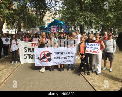 London, UK. 01. Sep, 2016. Das Abschlachten von Delfinen Protest, London UK Credit zu stoppen: JonnySyer66/StockimoNews/Alamy Live News Stockfoto