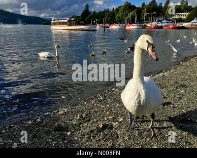 UK-Wetter: Späte Nachmittagssonne in Bowness-on-Windermere. Stockfoto