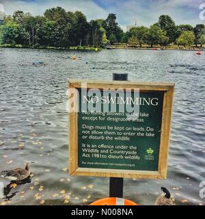 London, UK. 24. Sep, 2016. Schwimmen Sie Serpentine im Hyde Park in London einen offenen Wasser Masse 1,6 schwimmen. 24. September 2016 Kredit: EYESITE / StockimoNews/Alamy Live News Stockfoto