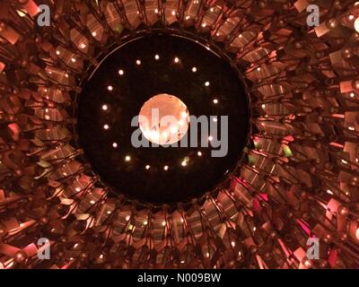 London, UK. 22. November 2016. Wolfgang Strebepfeiler Bienenstock in Kew Gardens beleuchtet für Weihnachten im Kew Credit: © Tricia de Courcy Ling / StockimoNews/Alamy Live News Stockfoto