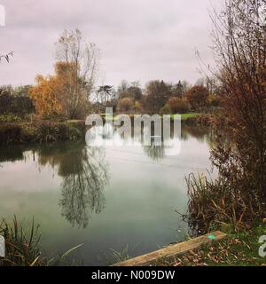 Bahnhof Ln, Godalming, Großbritannien. 27. November 2016. Großbritannien Wetter Herbst Farben in Godalming, Surrey. Großbritannien Wetter 27. November 2016: trockene und hellen Bedingungen die Oberhand über den Home Counties. Herbstfärbung bei Marsh Farm Fischerei in der Nähe von Godalming, Surrey Credit: Jamesjagger/StockimoNews/Alamy Live-Nachrichten Stockfoto