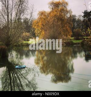 Bahnhof Ln, Godalming, Großbritannien. 27. November 2016. Großbritannien Wetter Herbst Farben in Godalming, Surrey. Großbritannien Wetter 27. November 2016: trockene und hellen Bedingungen die Oberhand über den Home Counties. Herbstfärbung bei Marsh Farm Fischerei in der Nähe von Godalming, Surrey Credit: Jamesjagger/StockimoNews/Alamy Live-Nachrichten Stockfoto