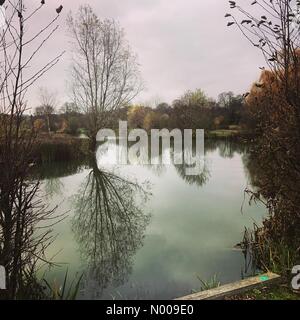 Bahnhof Ln, Godalming, Großbritannien. 27. November 2016. Großbritannien Wetter Herbst Farben in Godalming, Surrey. Großbritannien Wetter 27. November 2016: trockene und hellen Bedingungen die Oberhand über den Home Counties. Herbstfärbung bei Marsh Farm Fischerei in der Nähe von Godalming, Surrey Credit: Jamesjagger/StockimoNews/Alamy Live-Nachrichten Stockfoto