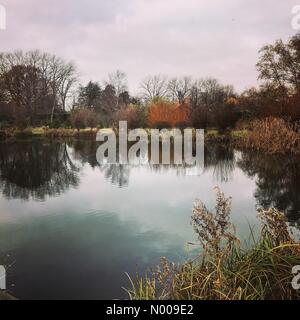 Bahnhof Ln, Godalming, Großbritannien. 27. November 2016. Großbritannien Wetter Herbst Farben in Godalming, Surrey. Großbritannien Wetter 27. November 2016: trockene und hellen Bedingungen die Oberhand über den Home Counties. Herbstfärbung bei Marsh Farm Fischerei in der Nähe von Godalming, Surrey Credit: Jamesjagger/StockimoNews/Alamy Live-Nachrichten Stockfoto