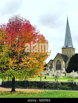 Große George St, Godalming, UK. 27. November 2016. Großbritannien Wetter Herbst Farben in Godalming. Großbritannien Wetter 27. November 2016: trockene und hellen Bedingungen die Oberhand über den Home Counties. Herbstfärbung in Godalming Pfarrkirche in Surrey. Bildnachweis: Jamesjagger/StockimoNews/Alamy Live-Nachrichten Stockfoto