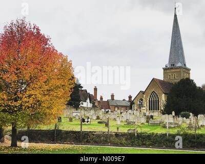 Große George St, Godalming, UK. 27. November 2016. Großbritannien Wetter Herbst Farben in Godalming. Großbritannien Wetter 27. November 2016: trockene und hellen Bedingungen die Oberhand über den Home Counties. Herbstfärbung in Godalming Pfarrkirche und Musikpavillon in Surrey. Bildnachweis: Jamesjagger/StockimoNews/Alamy Live-Nachrichten Stockfoto