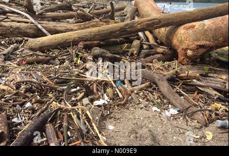 Guanacaste Playa Matapalo, Costa Rica. 27. November 2016. Ablagerungen an den Stränden in Guanacaste Playa Matapalo Costa Rica nach Hurrikan Otto, einen sehr späten Saison Hurrikan zu Mittelamerika treffen am 24. 25. November 2016 Credit: Anakinscattykin / StockimoNews/Alamy Live News Stockfoto