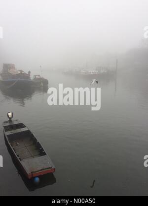 Twickenham, Middlesex, UK. 30. Dezember 2016. Boote vor Anker im Nebel auf der Themse von Eel Pie Insel Twickenham Middlesex Credit: Tricia de Courcy Ling / StockimoNews/Alamy Live News Stockfoto