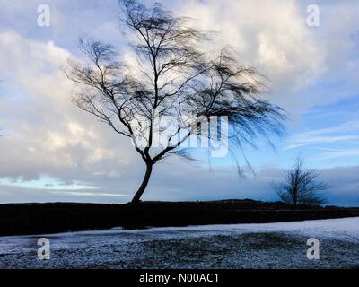 Matlock, UK. 13. Januar 2017. Großbritannien Wetter Freitag, 13. Januar 2017 - Schnee auf dem britischen High Peak Trail Cromford Derbyshire Peak District. Die Prognose ist für weitere kalt aber hell Wetter. © Robert Morris/StockimoNews/Alamy Live-Nachrichten Stockfoto