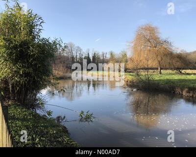 Große George St, Godalming, UK. 17. Januar 2017. UK-Wetter: Sonnig in Godalming. Fluss Wey, Godalming. 17. Januar 2017. Frühe Nebel wich hellen und sonnigen Bedingungen über den Home Counties. Der Fluss Wey Aue in Godalming, Surrey. Bildnachweis: Jamesjagger/StockimoNews/Alamy Live-Nachrichten Stockfoto