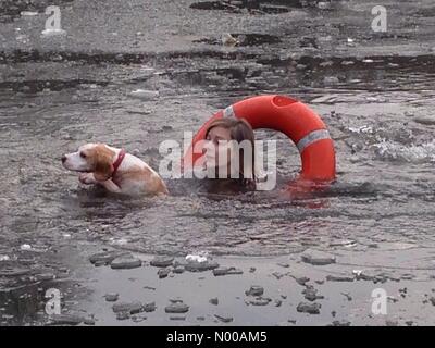 Alexandra Palace, London, UK. 23. Januar 2017. Frau rettet Hund aus gefrorenen See zum Bootfahren im Alexandra Palace, North London. Bildnachweis: Robert Christopher / StockimoNews/Alamy Live News Stockfoto