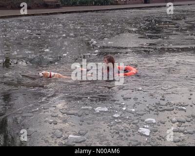 Alexandra Palace, London, UK. 23. Januar 2017. Frau rettet Hund aus gefrorenen See zum Bootfahren im Alexandra Palace, North London. Bildnachweis: Robert Christopher / StockimoNews/Alamy Live News Stockfoto