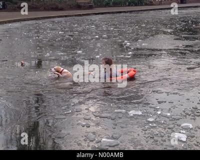 Alexandra Palace, Nord-London, UK. 23. Januar 2017. Frau zu retten Hund aus gefrorenen See zum Bootfahren im Alexandra Palace, North London. Bildnachweis: Robert Christopher / StockimoNews/Alamy Live News Stockfoto