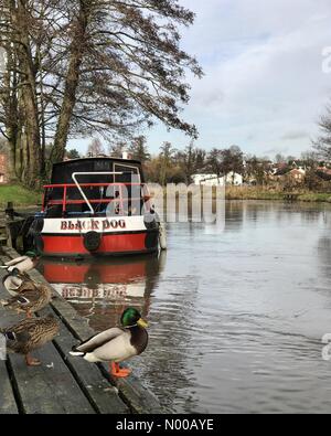 Godalming, Großbritannien. 4. Februar 2017. UK-Wetter: Sonnig in Godalming. Woolsack übrigens Godalming. 4. Februar 2017. Trockenen Bedingungen über den Home Counties nach dem Starkregen Sturm Doris. Fluss Wey Godalming, Surrey. Bildnachweis: Jamesjagger/StockimoNews/Alamy Live-Nachrichten Stockfoto