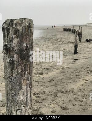 West Wittering, Chichester, UK. 11. Februar 2017. UK-Wetter: Winter über West Wittering Duschen. Osten Kopf spucken, West Wittering. 11. Februar 2017. Bittere Nordwind brachte Schneeschauer an der Südküste von England. Osten Kopf spucken, W Sussex. Bildnachweis: Jamesjagger/StockimoNews/Alamy Live-Nachrichten Stockfoto