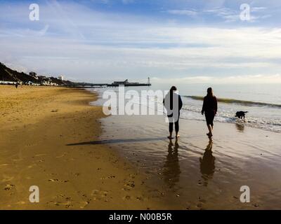 W Undercliff Promenade, Bournemouth, UK. 17. Februar 2017. UK Wetter 17. Februar 2017 Menschen genießen warme frühlingshafte Wetter am Strand von Bournemouth England UK. Prognose ist für weitere mildes Wetter. Bildnachweis: Robert Morris/StockimoNews/Alamy Live-Nachrichten Stockfoto