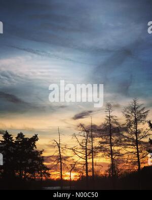 Tuesley Ln, Godalming, UK. 26. März 2017. Großbritannien Wetter: Sonnenuntergang über Godalming.  Hohem Druck antizyklonalen Bedingungen über den Home Counties heute. Sonnenuntergang in Godalming in Surrey. Bildnachweis: Jamesjagger/StockimoNews/Alamy Live-Nachrichten Stockfoto