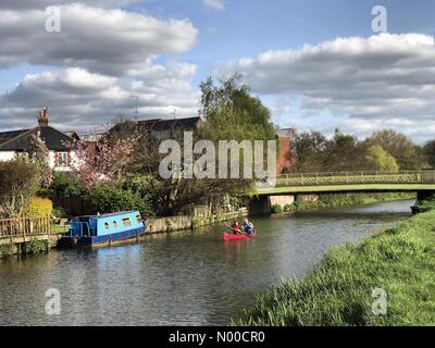 Shalford, Guildford, UK. 15. April 2017. UK-Wetter: Sonnig in Guildford. Broadford Rd, Guildford. 15. April 2017. Bewölkten Bedingungen über den Home Counties wich heute teils sonnig. Der Fluss Wey im Shalford. Bildnachweis: Jamesjagger/StockimoNews/Alamy Live-Nachrichten Stockfoto