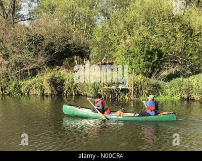 Shalford, Guildford, UK. 15. April 2017. UK-Wetter: Sonnig in Guildford. Broadford Rd, Guildford. 15. April 2017. Bewölkten Bedingungen über den Home Counties wich heute teils sonnig. Der Fluss Wey im Shalford. Bildnachweis: Jamesjagger/StockimoNews/Alamy Live-Nachrichten Stockfoto