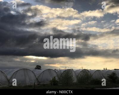 Tuesley Ln, Godalming, UK. 17. April 2017. UK-Wetter: Stürmischer Sonnenaufgang über Godalming. Tuesley Farm, Godalming. 17. April 2017. Bewölkten Bedingungen über den Home Counties am Ostermontag. Sonnenaufgang in Godalming in Surrey. Bildnachweis: Jamesjagger/StockimoNews/Alamy Live-Nachrichten Stockfoto