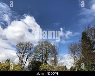 Busbridge Ln, Godalming, UK. 17. April 2017. UK-Wetter: Sonnig in Godalming. Busbridge Ln, Godalming. 17. April 2017. Teils sonnig über den Home Counties am Ostermontag. Godalming in Surrey. Bildnachweis: Jamesjagger/StockimoNews/Alamy Live-Nachrichten Stockfoto