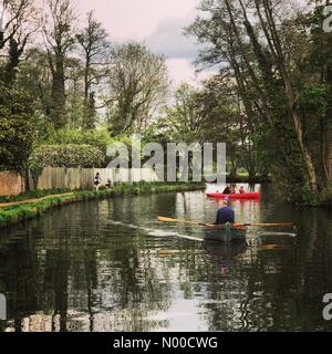 Godalming, Großbritannien. 17. April 2017. UK-Wetter: Sonnig in Godalming. Guildford Rd, Godalming. 17. April 2017. Teils sonnig über den Home Counties am Ostermontag. Der Fluss Wey in Godalming, Surrey. Bildnachweis: Jamesjagger/StockimoNews/Alamy Live-Nachrichten Stockfoto