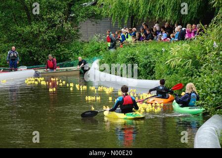 Große George St, Godalming, UK. 20. Mai 2017. UK-Wetter: Ente Rennen in Godalming. Borough Rd, Godalming. 20. Mai 2017. Sonnenschein und Duschen über den Home Counties heute Nachmittag. Ente Rennen auf dem Fluss Wey in Godalming, Surrey. Bildnachweis: Jamesjagger/StockimoNews/Alamy Live-Nachrichten Stockfoto