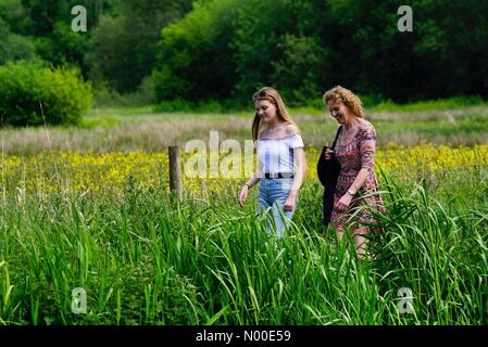 Godalming, Großbritannien. 22. Mai 2017.  UK-Wetter: Heiß und sonnig in Godalming. Woolsack übrigens Godalming. 22. Mai 2017. Schönen warmen und sonnigen Wetter über den Home Counties heute. Der Fluss Wey in Godalming, Surrey. Bildnachweis: Jamesjagger / StockimoNews/Alamy Live News Stockfoto