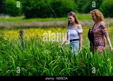 Godalming, Großbritannien. 22. Mai 2017.  UK-Wetter: Heiß und sonnig in Godalming. Woolsack übrigens Godalming. 22. Mai 2017. Schönen warmen und sonnigen Wetter über den Home Counties heute. Der Fluss Wey in Godalming, Surrey. Bildnachweis: Jamesjagger / StockimoNews/Alamy Live News Stockfoto