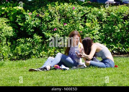 Godalming, Großbritannien. 22. Mai 2017.  UK-Wetter: Heiß und sonnig in Godalming. Woolsack übrigens Godalming. 22. Mai 2017. Schönen warmen und sonnigen Wetter über den Home Counties heute. Der Fluss Wey in Godalming, Surrey. Bildnachweis: Jamesjagger / StockimoNews/Alamy Live News Stockfoto