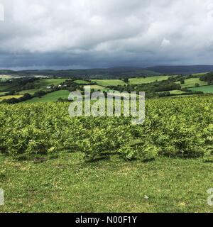 Gladestry, Powys, Wales - Juni 2017 - Regen, die Wolken über Mid Wales von Offa es Dyke Path auf Hergest Ridge Blick nach Norden gesehen. Stockfoto