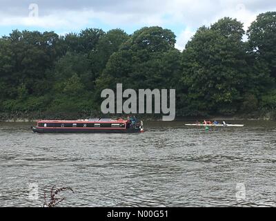 London, UK. 4. August 2017. UK-Wetter: Ruderer genießen auf der Themse am milden Tag in London. Ruderboote nehmen das Wasser auf der Themse in der Nähe von Hammersmith angenehm sonnigen Bedingungen Credit: Amer Ghazzal/StockimoNews/Alamy Live-Nachrichten Stockfoto