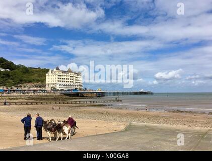 UK Wetter: Sonnig in Llandudno, North Wales. Sonnig, aber windig auf Llandudno Strand mit Pier im Hintergrund. Stockfoto