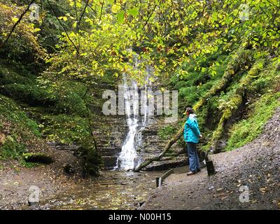 Radnor Hills, Powys, Wales - Herbst regen im Wasser brechen Genick Wasserfall im Radnor Hills Powys in der Nähe von New Radnor. Stockfoto