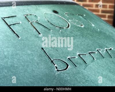Godalming, Großbritannien. November 2017. UK Wetter: Frostig in Godalming. Platane Av, Godalming. November 2017. Der klare Himmel führte zu nächtlichen Temperaturen, die unter den Gefrierpunkt fielen. Ein frostiger Start in den Tag in Godalming, Surrey. Kredit: Jamesjagger/StockimoNews/Alamy Live Nachrichten Stockfoto